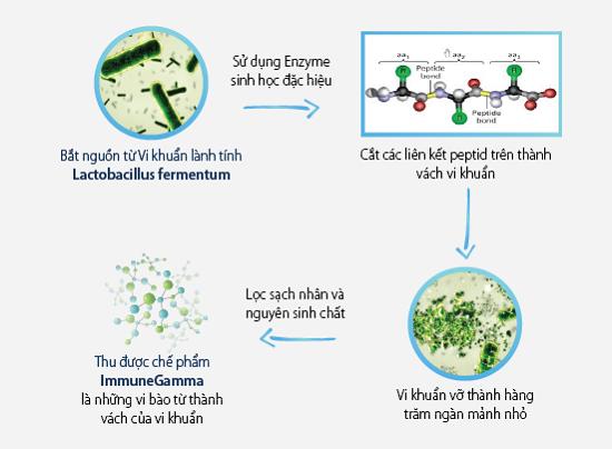 Vì sao uống kháng sinh bị tiêu chảy? Cách khắc phục hiệu quả