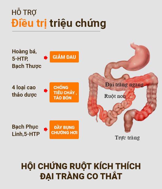 Hiểu đúng về nguyên nhân, triệu chứng hội chứng ruột kích thích để tìm ra cách chữa hiệu quả - Ảnh 4.