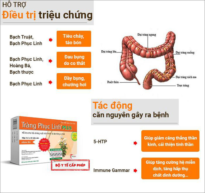 Tràng Phục Linh PLUS - Đột phá mới hỗ trợ điều trị viêm đại tràng co thắt của người Việt - Ảnh 4.