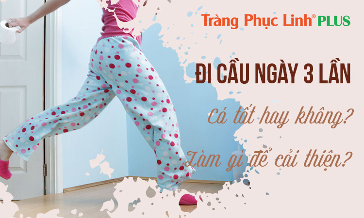 Đi cầu ngày 3 lần có tốt không?