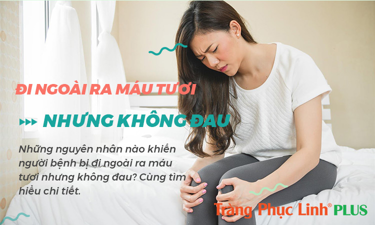 Đi ngoài ra máu tươi nhưng không đau là bệnh gì?