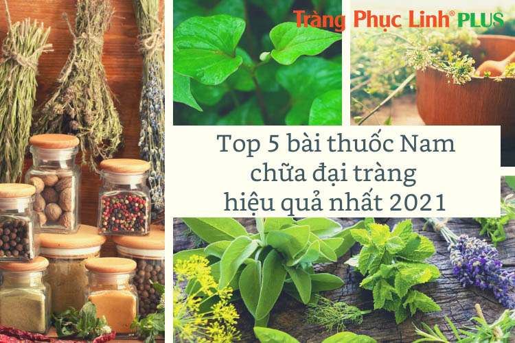 Top 7 bài thuốc Nam chữa đại tràng an toàn, hiệu quả nhất