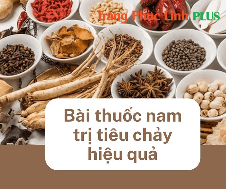 Tổng hợp 7 bài thuốc nam trị tiêu chảy mà bạn nên biết